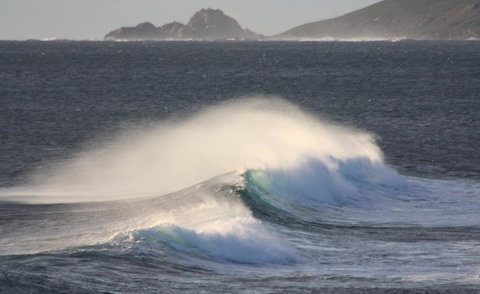 Riverview Tourist Park - ACT Tourism 33