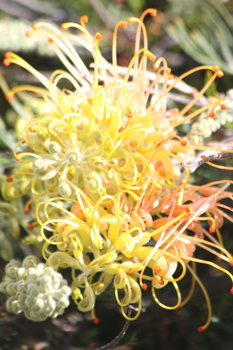 Riverview Tourist Park - ACT Tourism 37