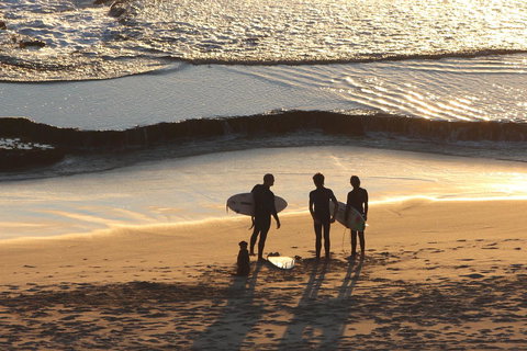 Riverview Tourist Park - ACT Tourism 31