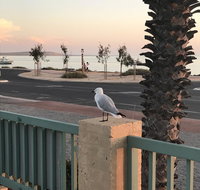 Shark Bay Seafront Apartments - ACT Tourism