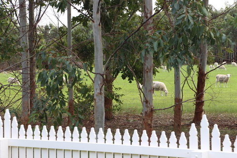 Sapphire Chalets, Augusta - ACT Tourism 9