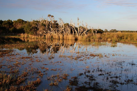 Sapphire Chalets, Augusta - ACT Tourism 13