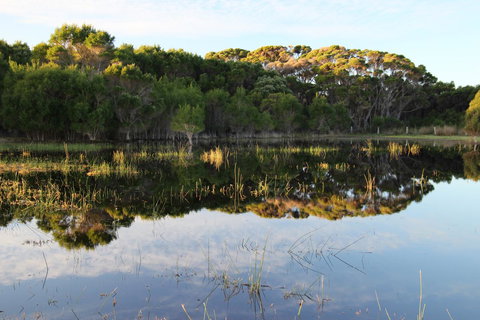 Sapphire Chalets, Augusta - ACT Tourism 14