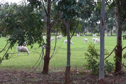 Sapphire Chalets, Augusta - ACT Tourism 10