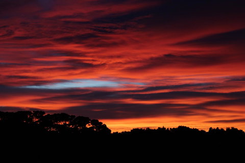 Sapphire Chalets, Augusta - ACT Tourism 15