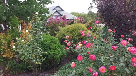 Glenelg On King Bed & Breakfast - ACT Tourism 15