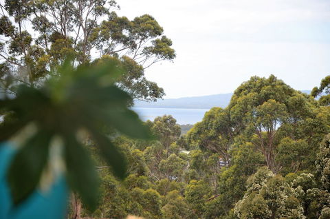 The Floating Forest - ACT Tourism 8