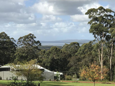 The Floating Forest - ACT Tourism 2
