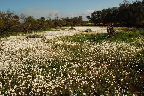 Kalbarri Seafront Villas - ACT Tourism 35