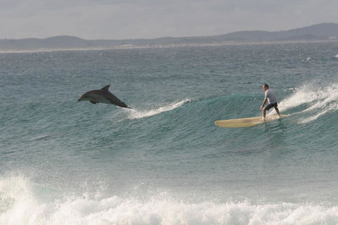 Crescent Head Spa Villa - ACT Tourism 22