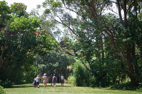 Ingenia Holidays Byron Bay - ACT Tourism 11