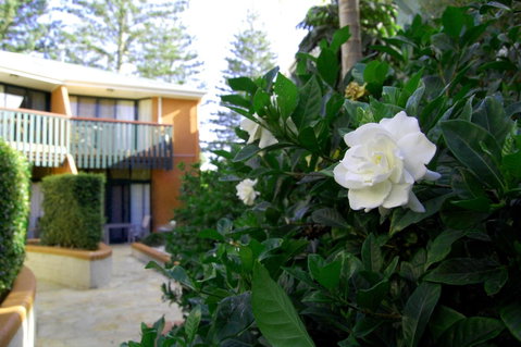 The Crest Byron Bay - ACT Tourism 29