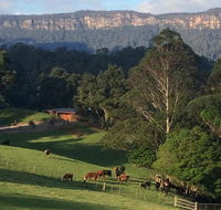 Amaroo Valley Springs - ACT Tourism
