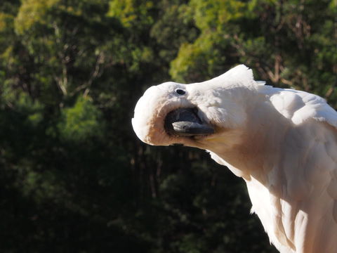 Bundle Hill Cottages - ACT Tourism 1