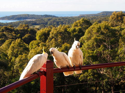 Bundle Hill Cottages - ACT Tourism 2