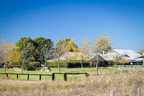 Potters Apartments - ACT Tourism 26