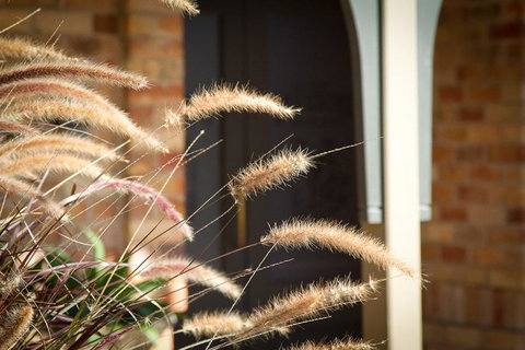 Potters Apartments - ACT Tourism 41