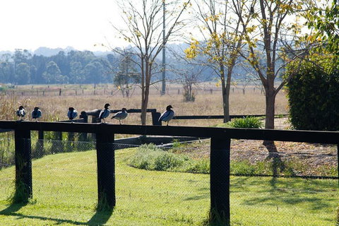 Potters Apartments - ACT Tourism 24