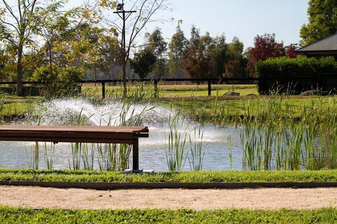 Potters Apartments - ACT Tourism 23