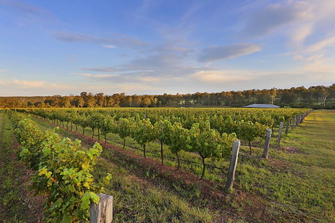 Ironstone Estate Lovedale - ACT Tourism 31