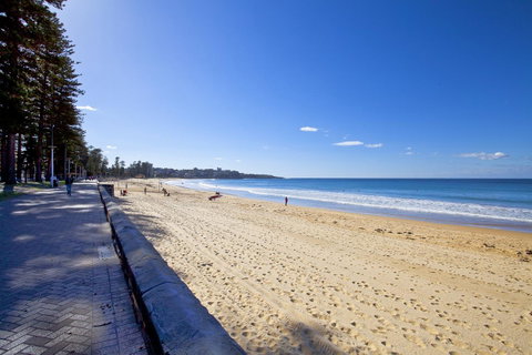 Manly Paradise Motel & Apartments - ACT Tourism 8