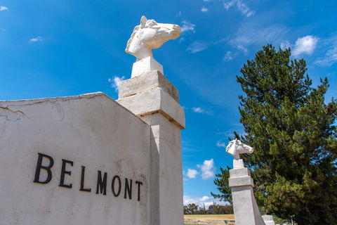 Belmont - ACT Tourism 4