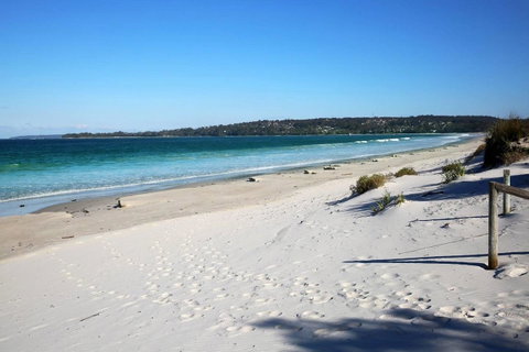 Jervis Bay Beach Shack I Pet Friendly - ACT Tourism 17