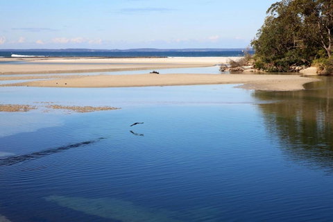 Jervis Bay Beach Shack I Pet Friendly - ACT Tourism 19