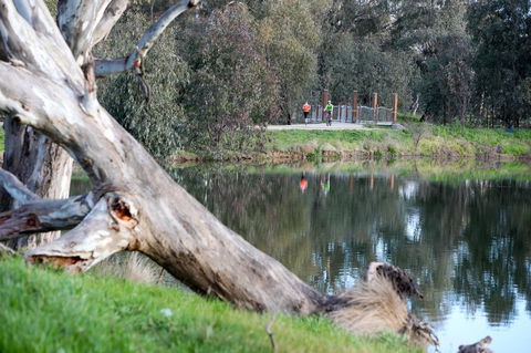 Mercure Albury - ACT Tourism 15