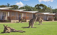 Book Pambula Beach Accommodation Vacations ACT Tourism ACT Tourism
