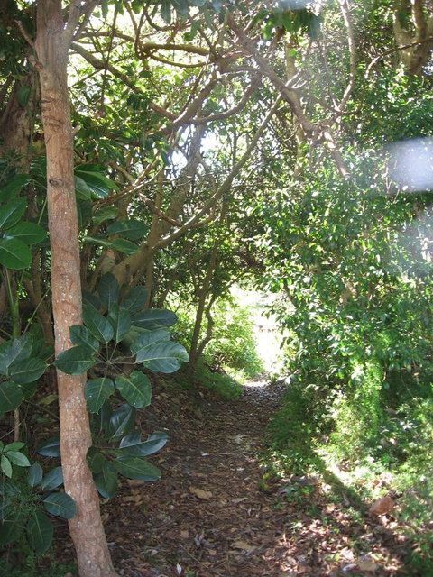 Wollongbar Motel - ACT Tourism 10