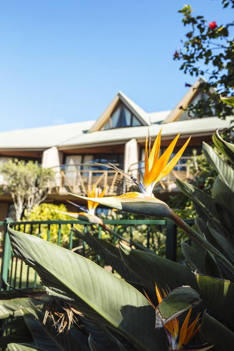 Beach Hotel Resort - ACT Tourism 36