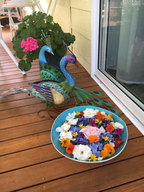 The Best Exotic Magnolia Cottage - ACT Tourism 8