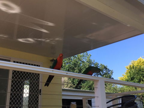 The Best Exotic Magnolia Cottage - ACT Tourism 11