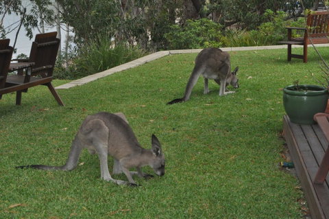 By The Beach B&B Self Contained Apartments - ACT Tourism 28