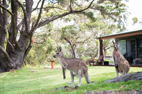 By The Beach B&B Self Contained Apartments - ACT Tourism 17