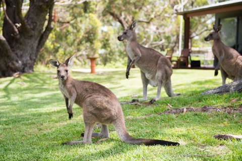 By The Beach B&B Self Contained Apartments - ACT Tourism 16