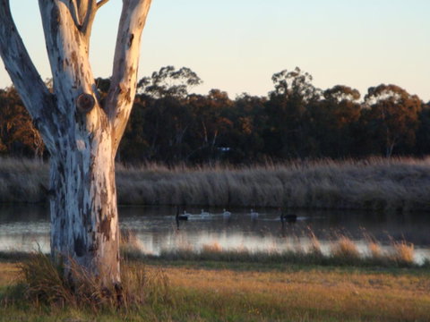Adina Vineyard - ACT Tourism 10