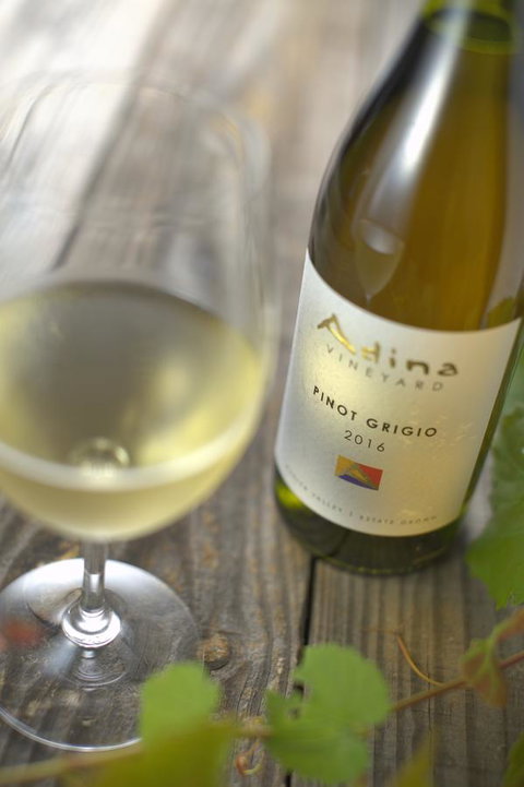 Adina Vineyard - ACT Tourism 7