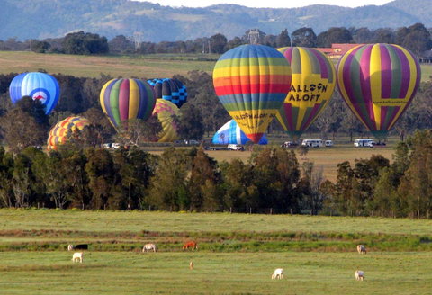Adina Vineyard - ACT Tourism 9
