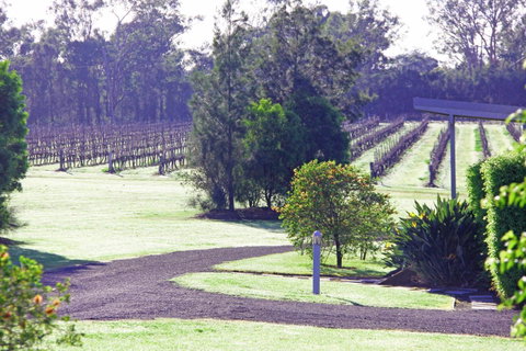 Adina Vineyard - ACT Tourism 14