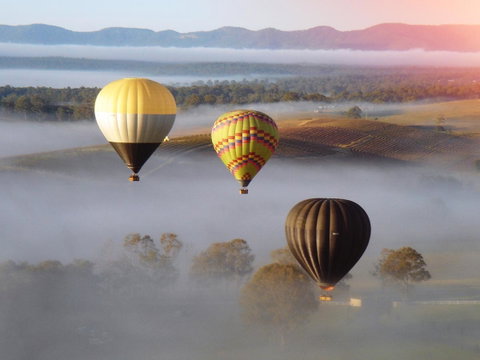 Adina Vineyard - ACT Tourism 21