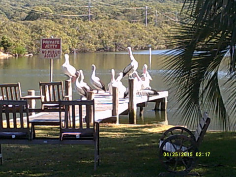 Pelican H2O One & Two Bedroom Apartments - ACT Tourism 9