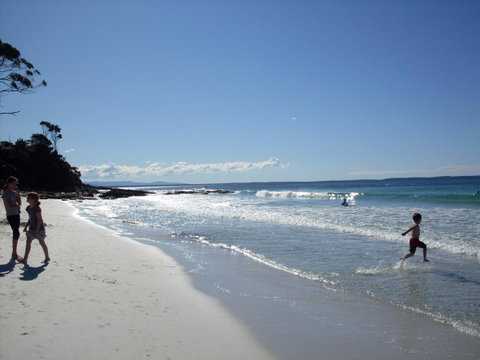 Bush & Bay Cottage - ACT Tourism 25