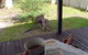 Bush & Bay Cottage - thumb 29