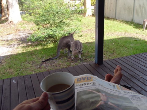Bush & Bay Cottage - ACT Tourism 29