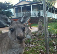 Bush  Bay Cottage - ACT Tourism