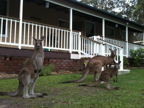 Bush & Bay Cottage - ACT Tourism 30