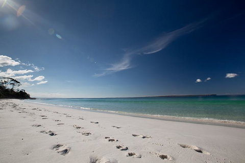 Bush & Bay Cottage - ACT Tourism 24