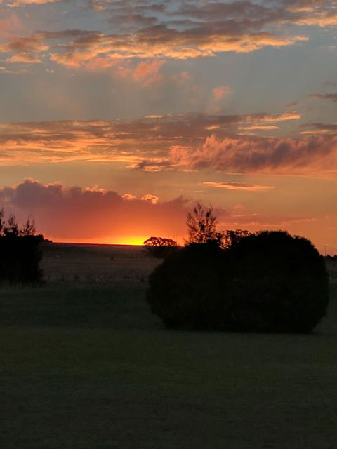 Madigan Wine Country Cottages - ACT Tourism 13